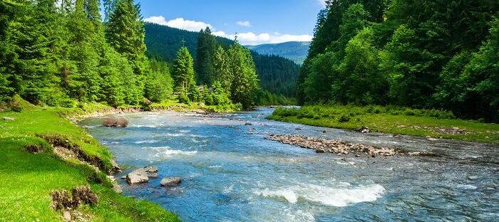 Beautiful river flowing through a forest.